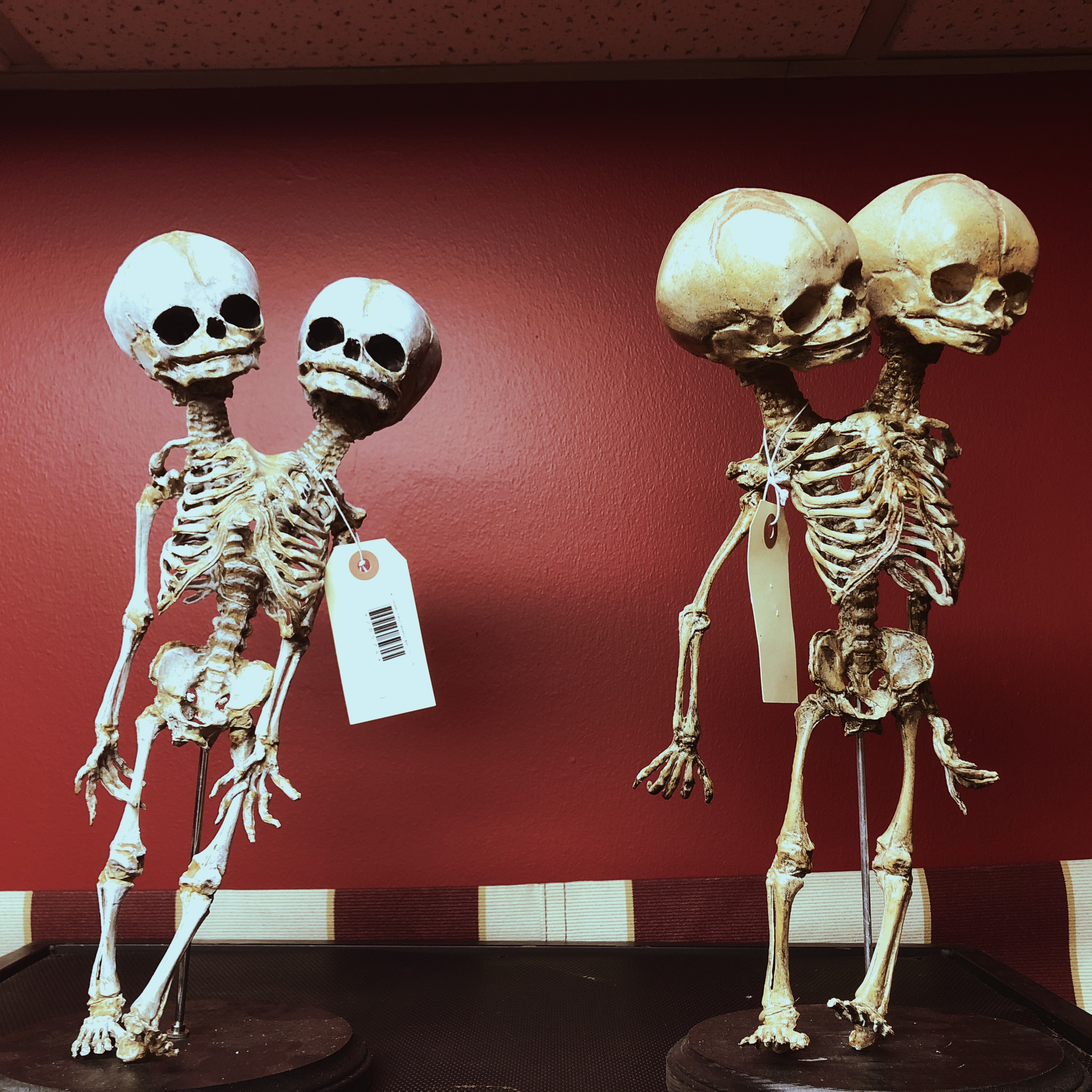 HipstamaticPhoto-555874798.336911