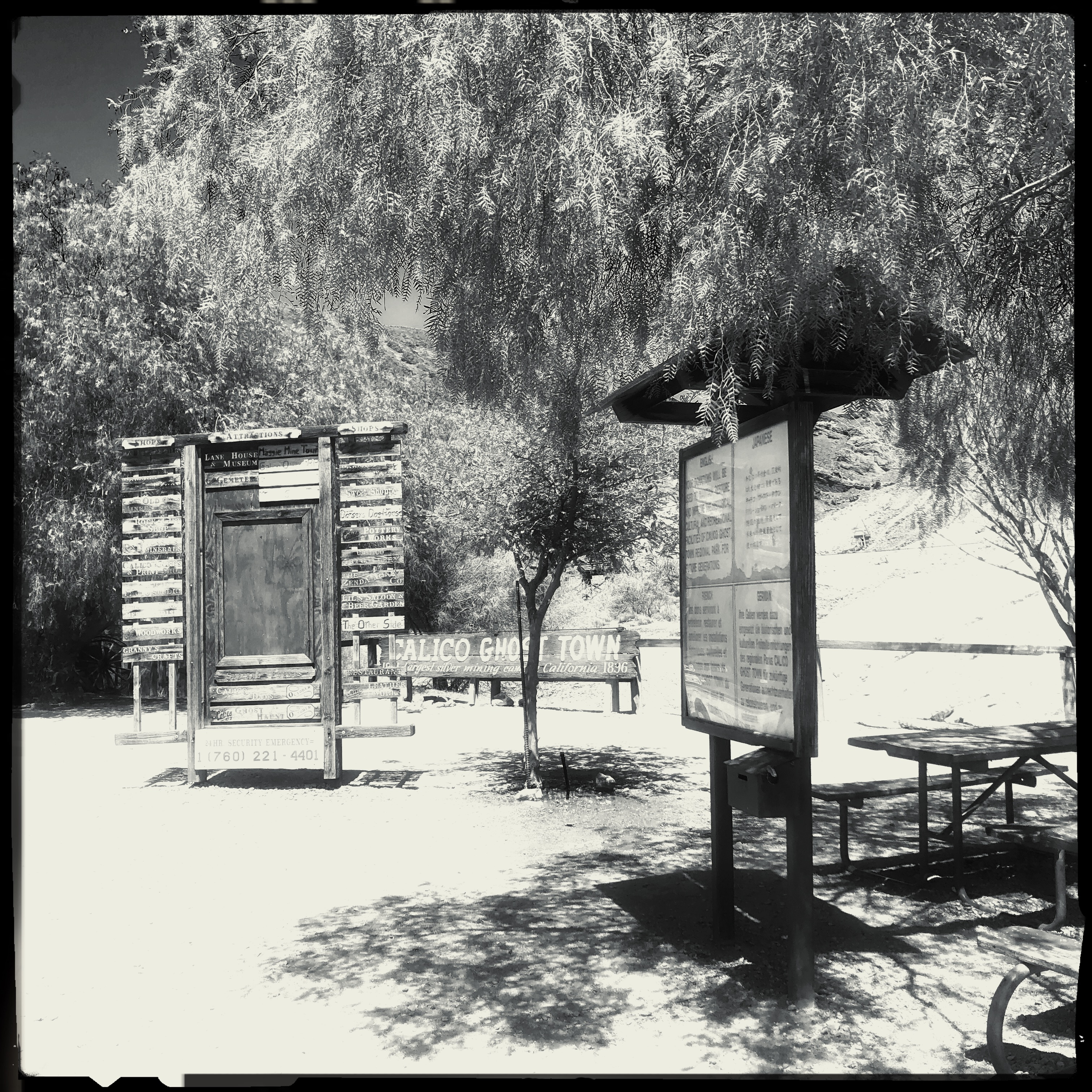 HipstamaticPhoto-555972579.377742