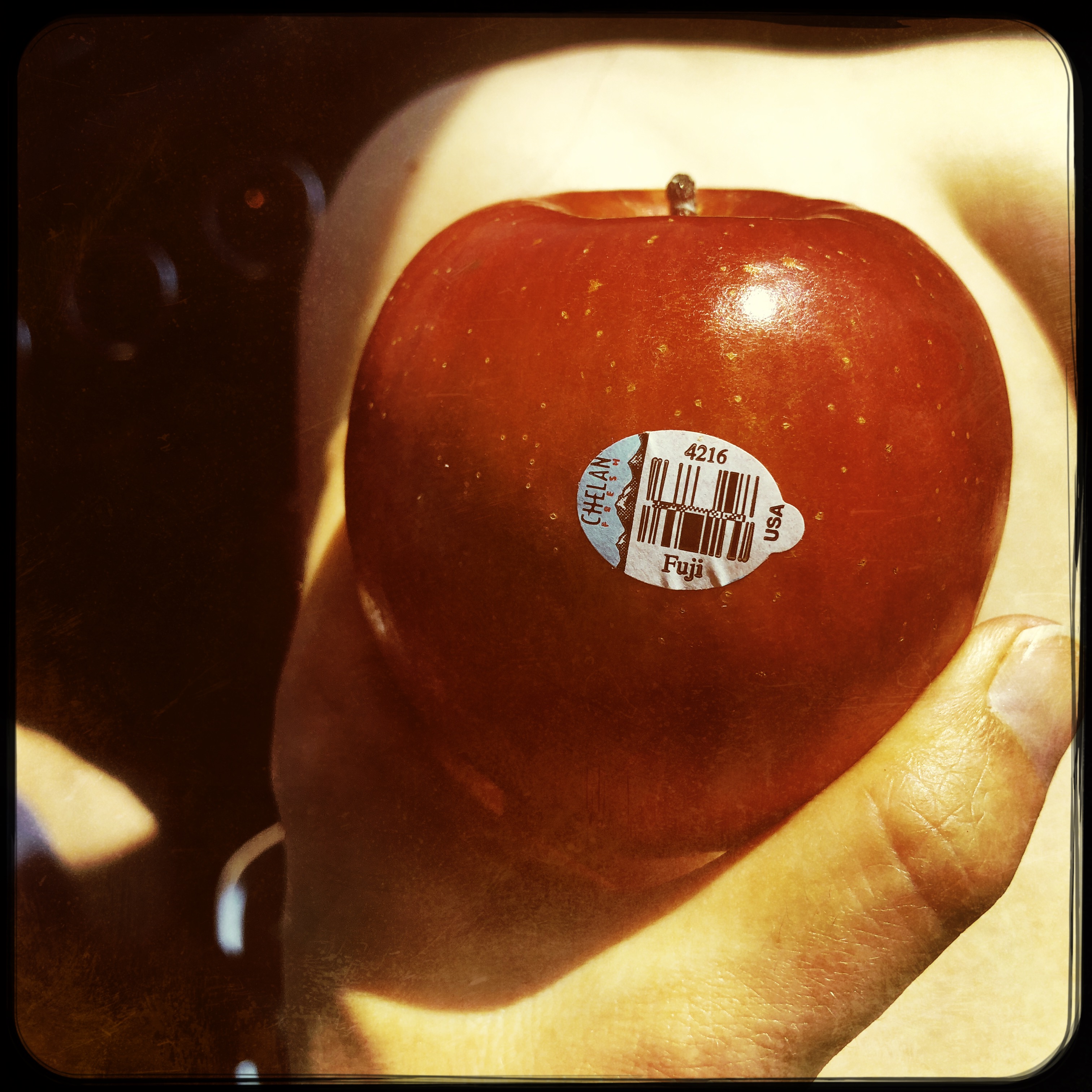 HipstamaticPhoto-555979281.167568