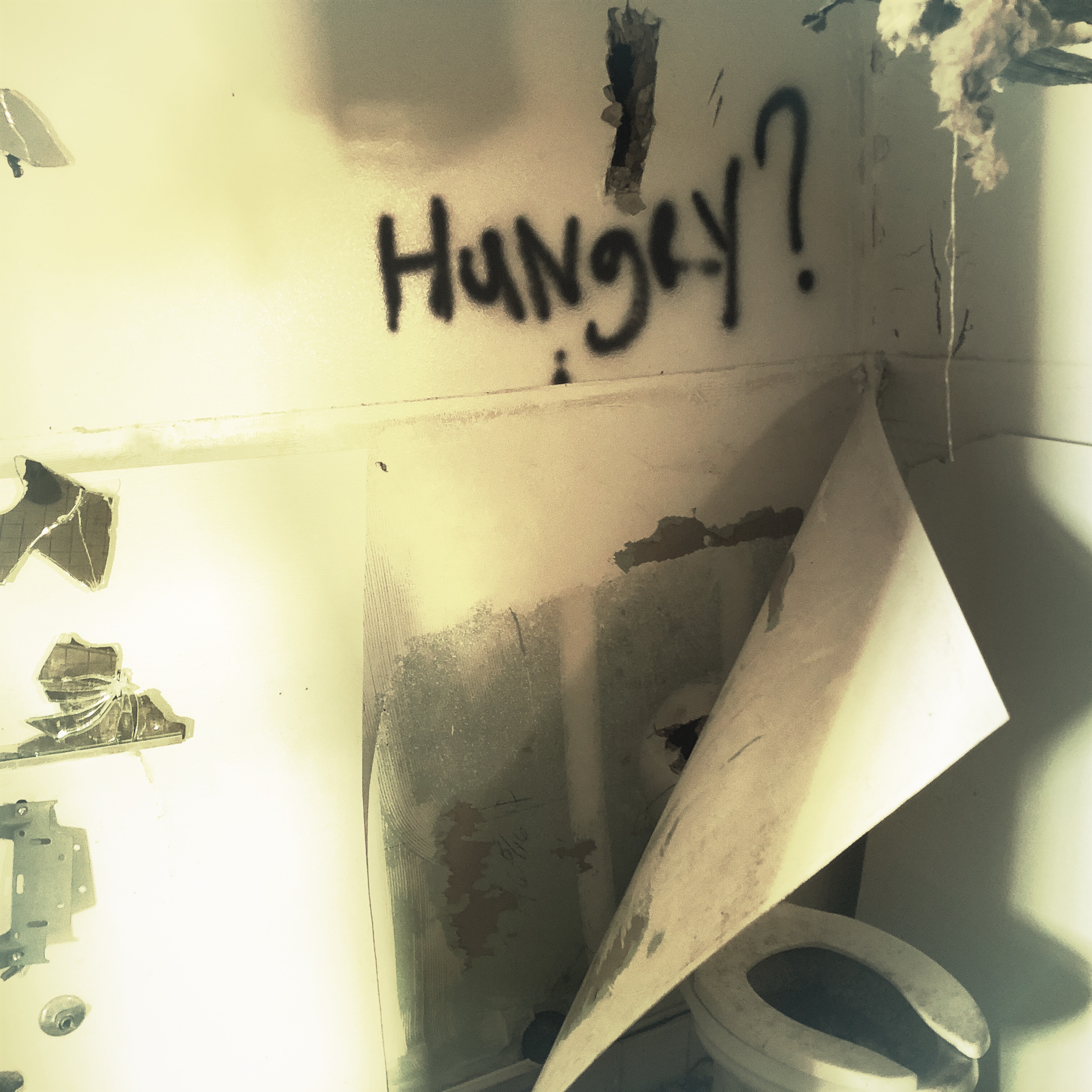 HipstamaticPhoto-555982978.876241