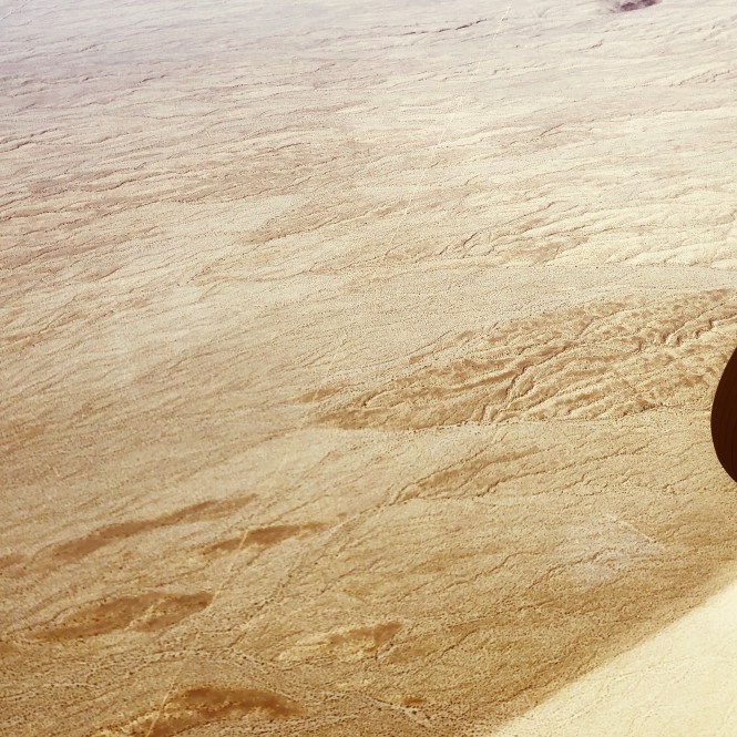 HipstamaticPhoto-556041413.852766