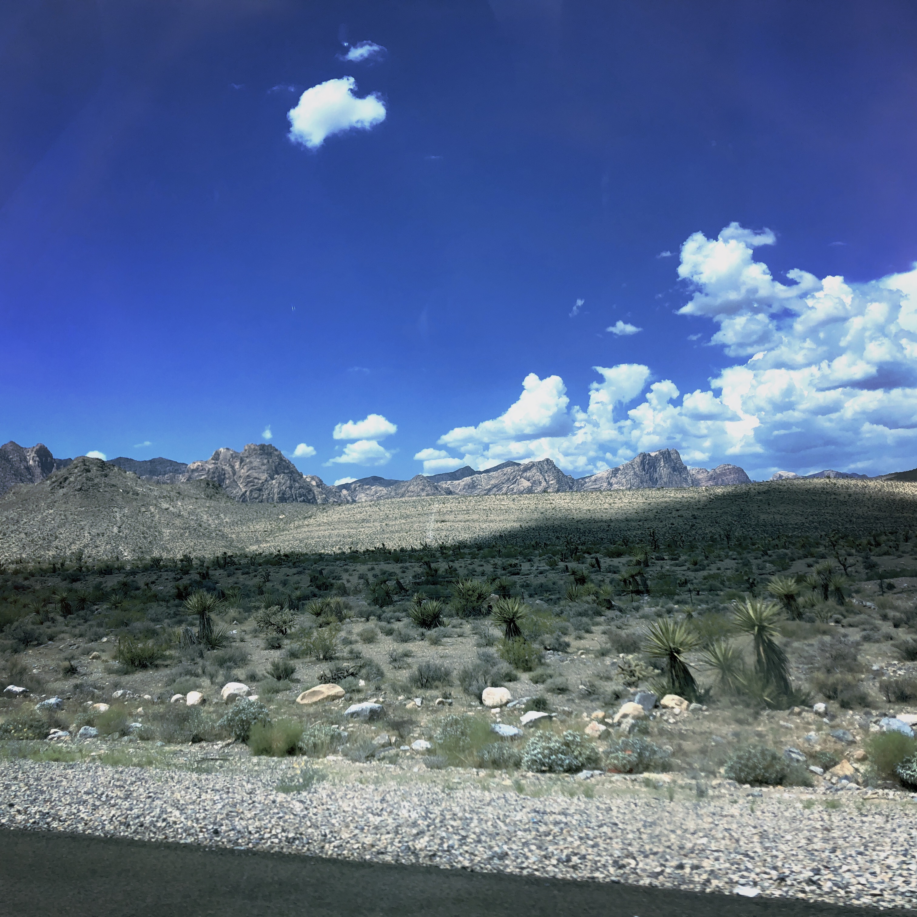 HipstamaticPhoto-556056108.286412