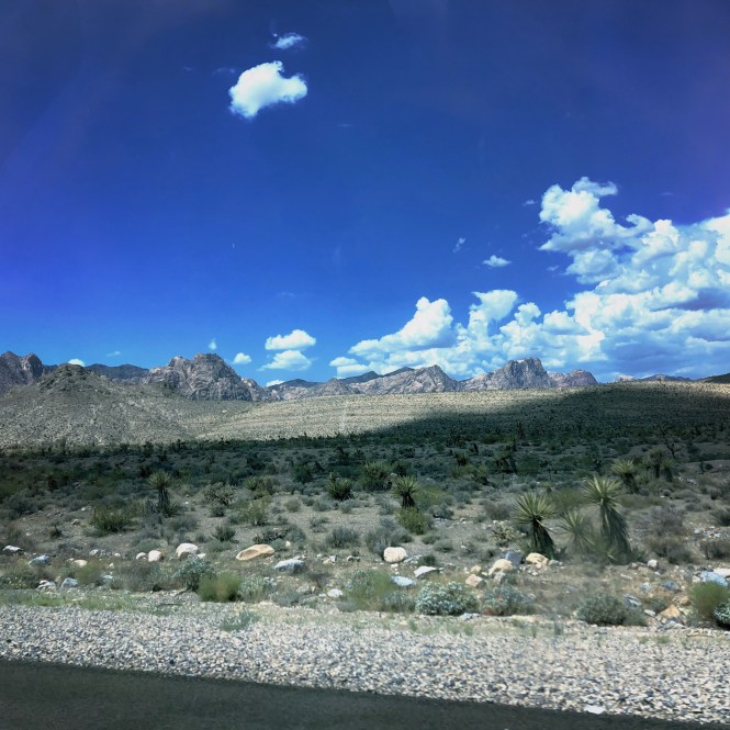 HipstamaticPhoto-556056108.286412