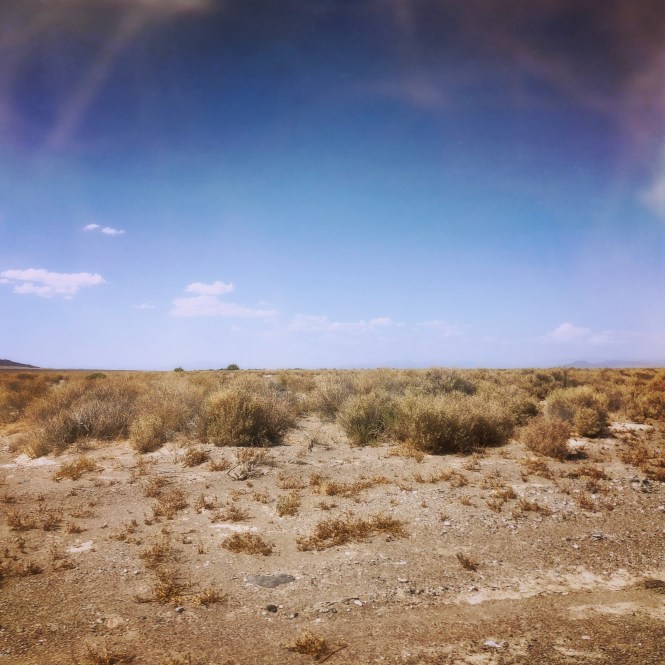 HipstamaticPhoto-556062243.204747