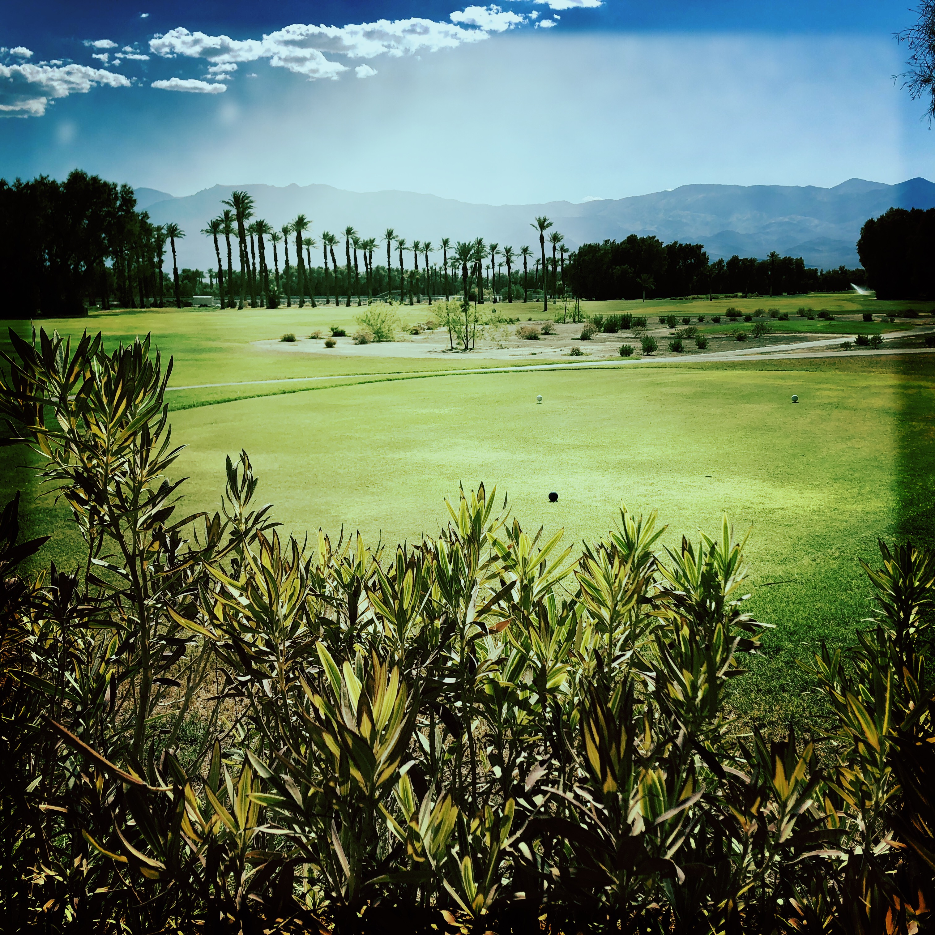 HipstamaticPhoto-556066328.364395