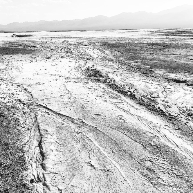 HipstamaticPhoto-556072083.408385