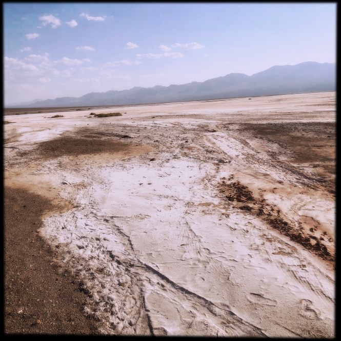 HipstamaticPhoto-556072102.771970