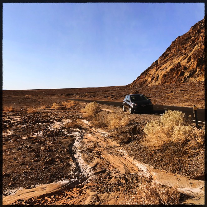 HipstamaticPhoto-556072110.291414