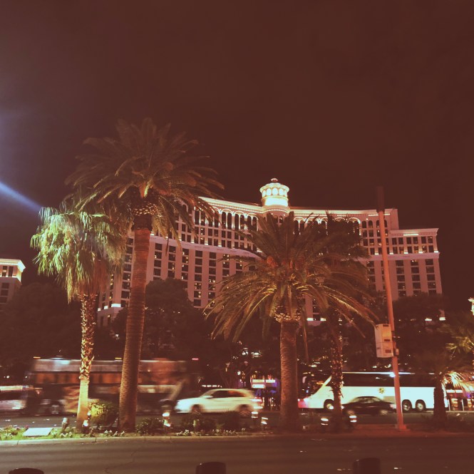 HipstamaticPhoto-556088314.789572