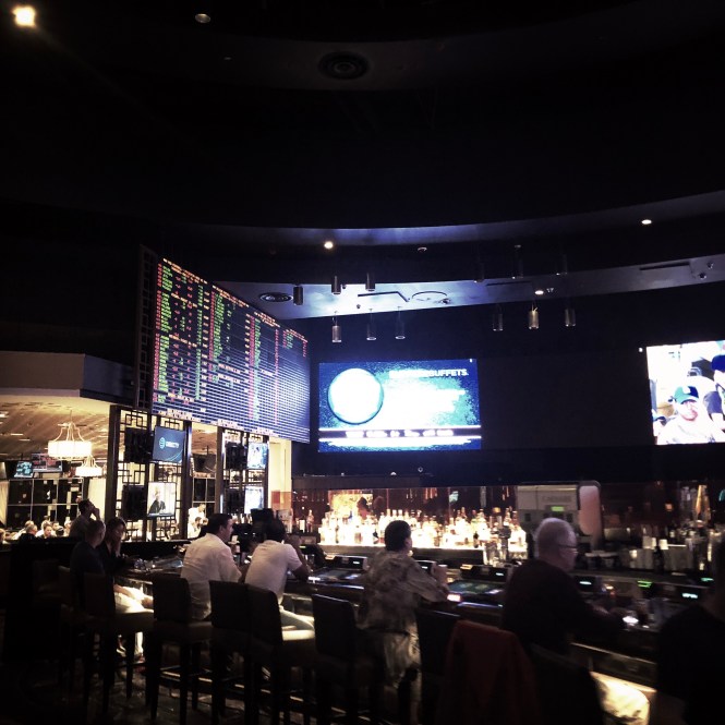 HipstamaticPhoto-556090216.607982