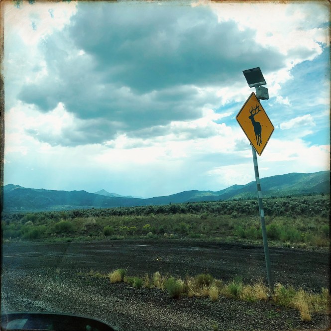 HipstamaticPhoto-556233926.255626