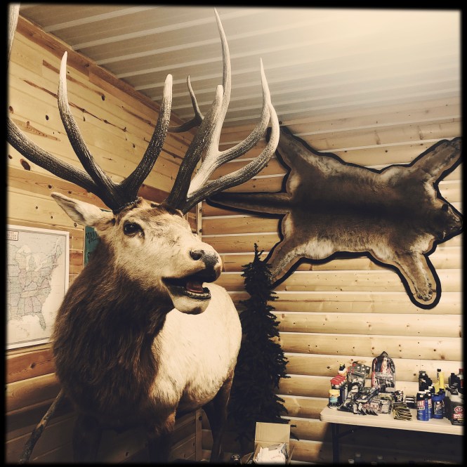 HipstamaticPhoto-556234668.254580