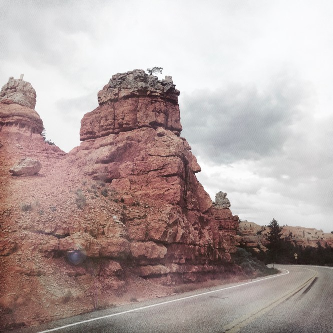 HipstamaticPhoto-556238420.814641