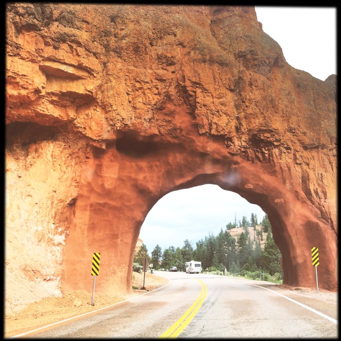 HipstamaticPhoto-556238753.682868