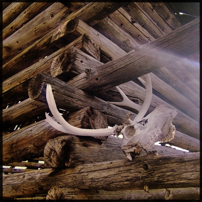 HipstamaticPhoto-556244029.499890