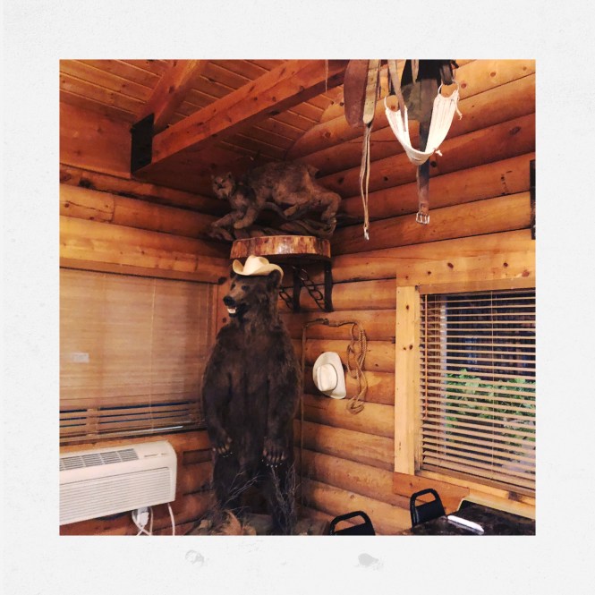 HipstamaticPhoto-556253207.455804