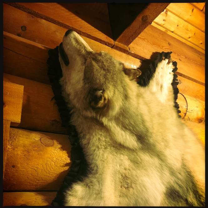 HipstamaticPhoto-556253234.895482