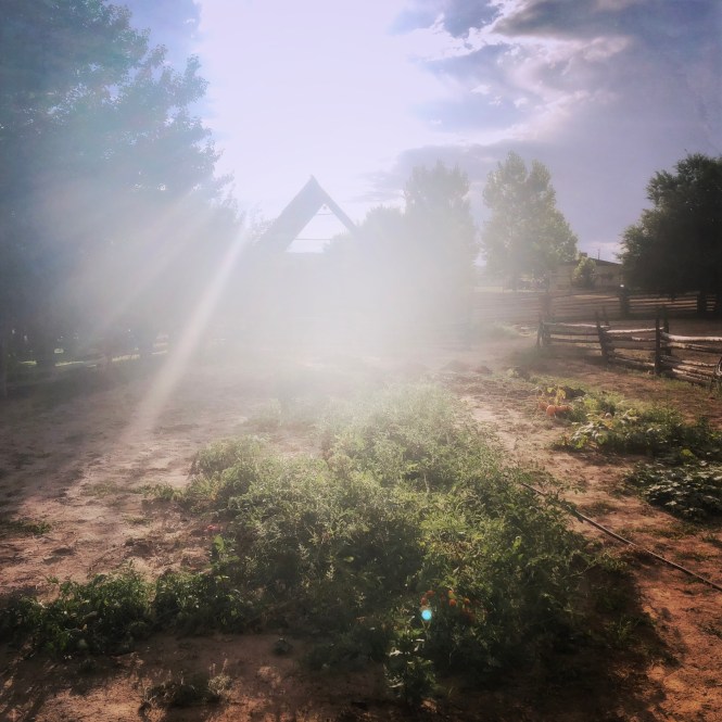 HipstamaticPhoto-556293897.876787