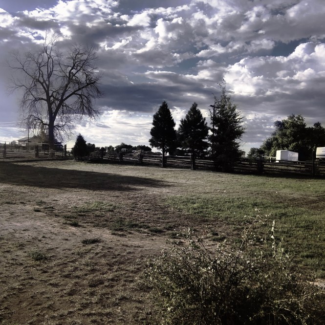 HipstamaticPhoto-556294342.601313