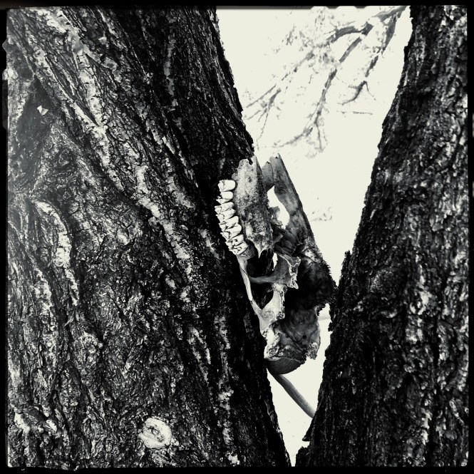 HipstamaticPhoto-556294401.702321