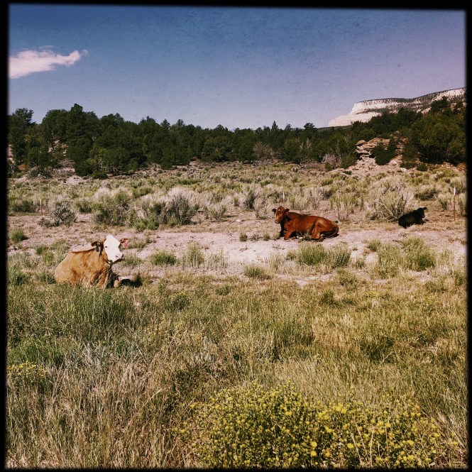 HipstamaticPhoto-556302688.248407