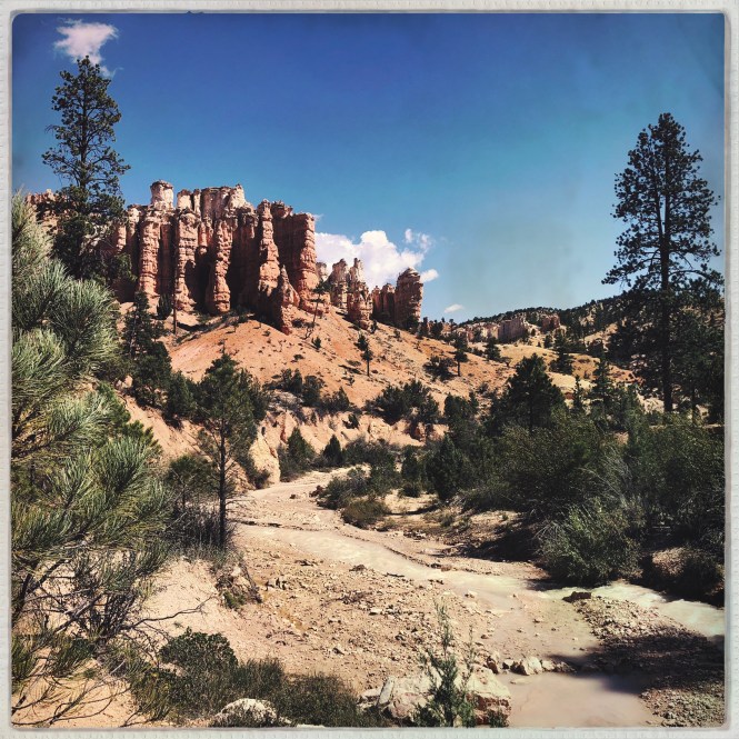 HipstamaticPhoto-556305894.268330