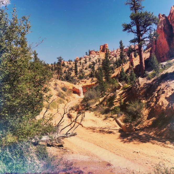 HipstamaticPhoto-556306109.858348