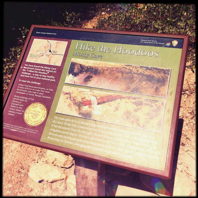 HipstamaticPhoto-556306155.067698