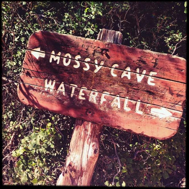 HipstamaticPhoto-556306209.300797