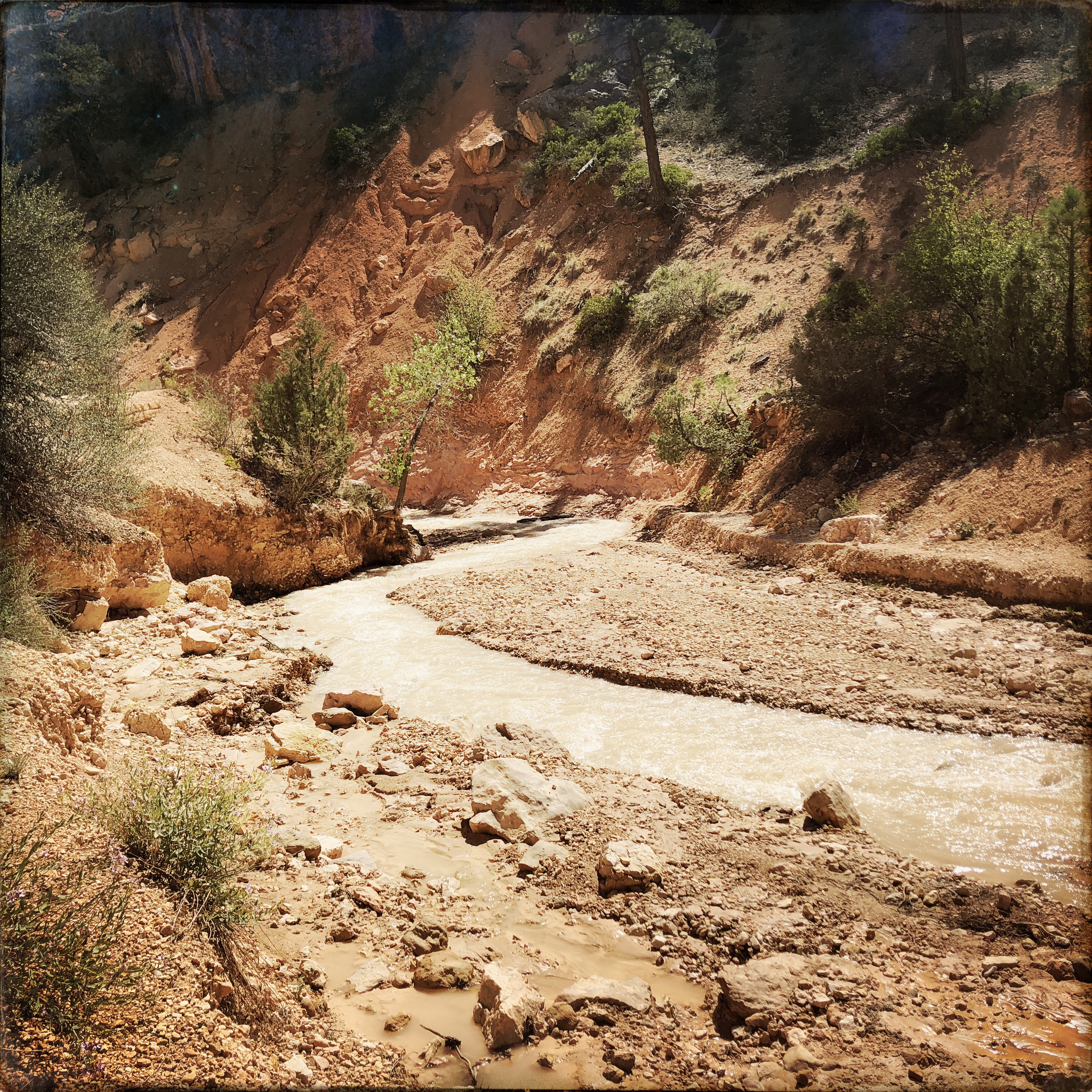 HipstamaticPhoto-556306741.755099