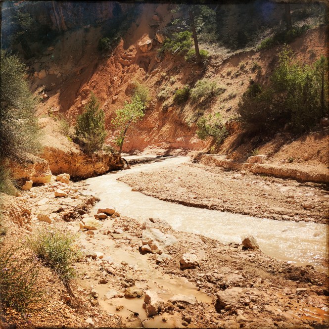 HipstamaticPhoto-556306741.755099