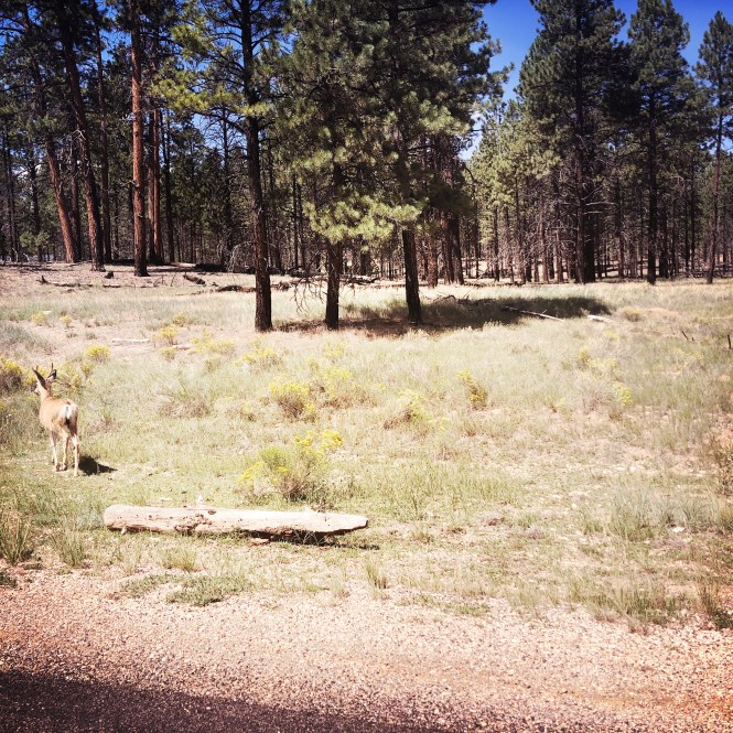 HipstamaticPhoto-556310010.031877