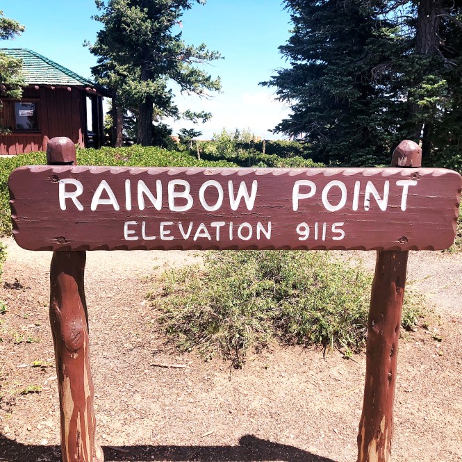 HipstamaticPhoto-556311677.724823