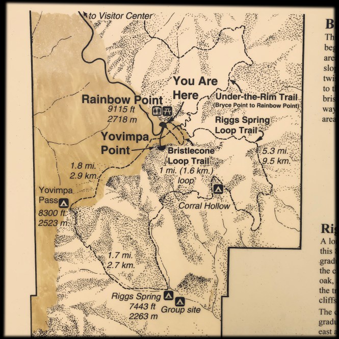 HipstamaticPhoto-556311811.845564