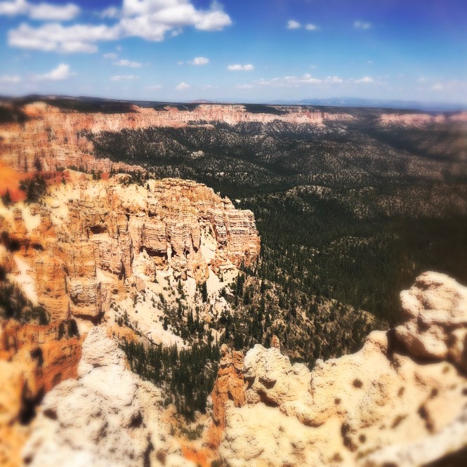 HipstamaticPhoto-556312085.314591