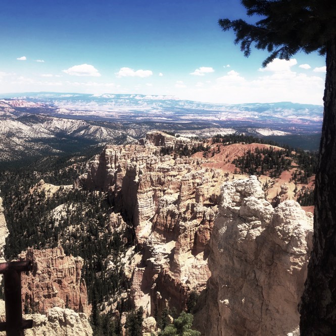 HipstamaticPhoto-556312240.622588