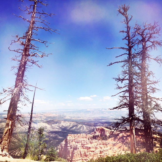 HipstamaticPhoto-556312488.352826