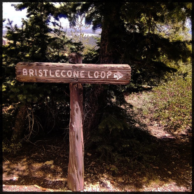 HipstamaticPhoto-556312506.918780