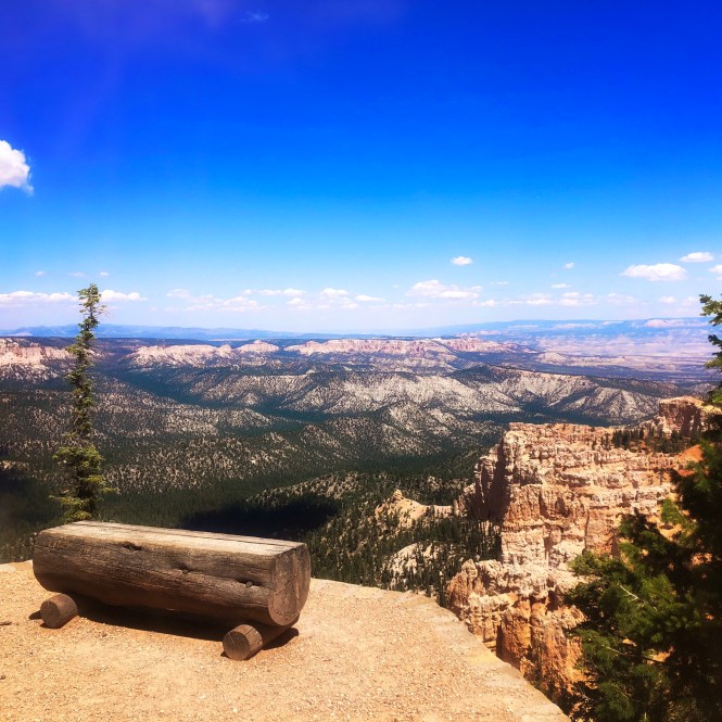 HipstamaticPhoto-556312578.069561