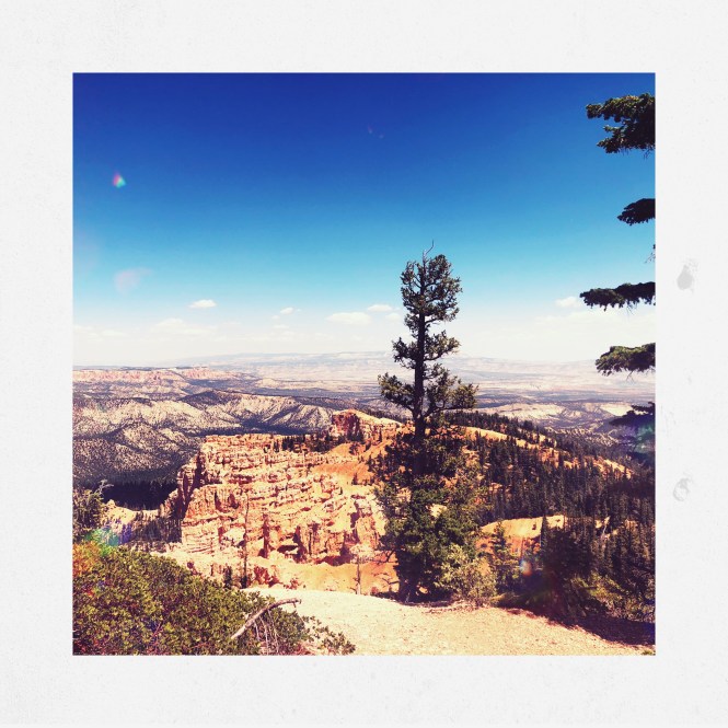 HipstamaticPhoto-556312624.616283