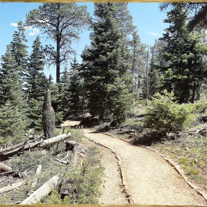 HipstamaticPhoto-556312779.288325