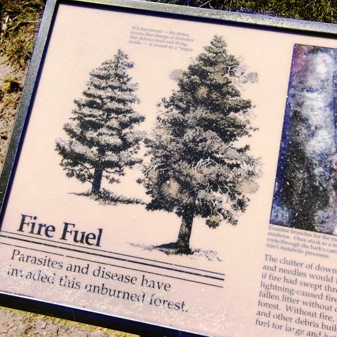 HipstamaticPhoto-556313011.342045