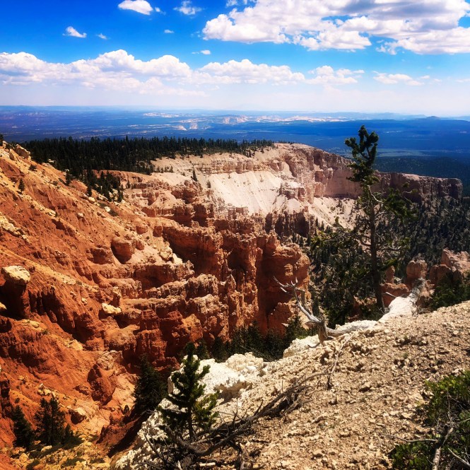 HipstamaticPhoto-556313226.587106