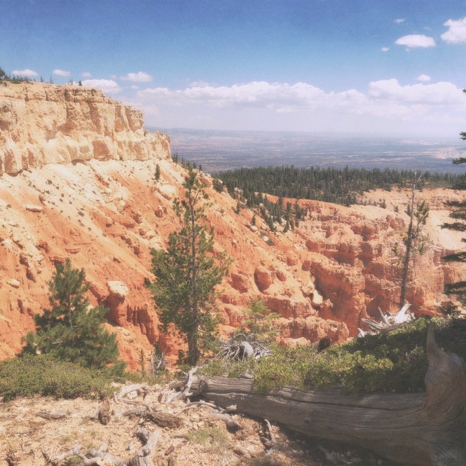 HipstamaticPhoto-556313378.268003