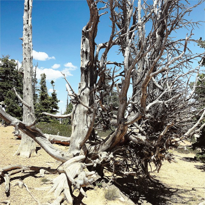 HipstamaticPhoto-556313492.315977