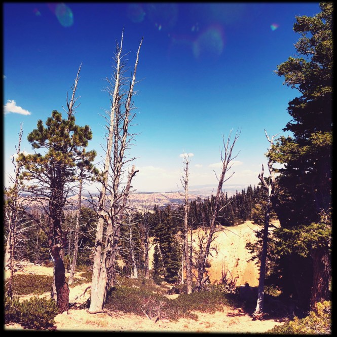 HipstamaticPhoto-556313665.815843