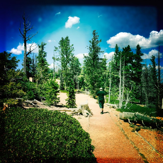 HipstamaticPhoto-556313673.889835