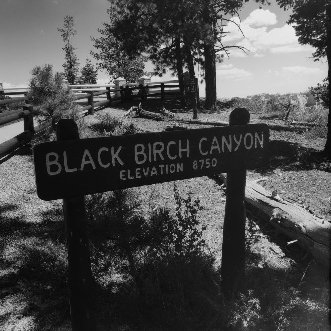 HipstamaticPhoto-556314888.622079