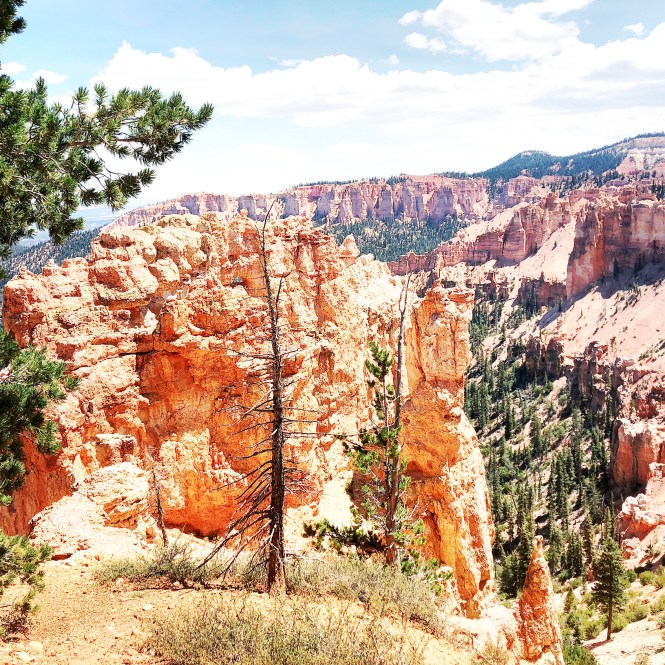 HipstamaticPhoto-556315035.005733