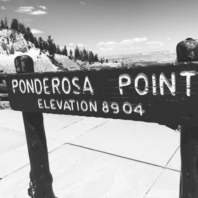 HipstamaticPhoto-556315446.655402